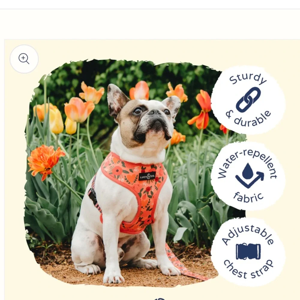 Lucy and Co. Posy Pink Reversible Harness size XL